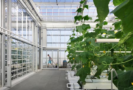 Rooftop Greenhouse Agrotopia
